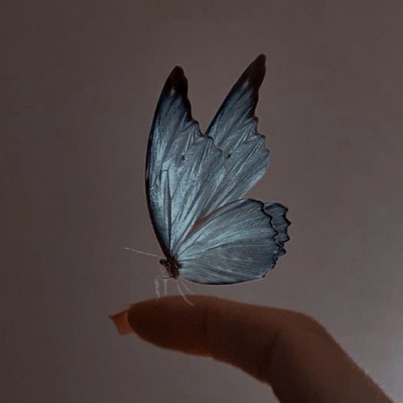 haticekurt1